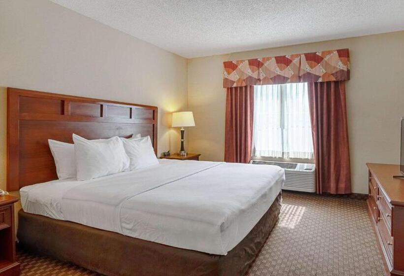 غرفة قياسية سرير كينج, Quality Suites San Antonio Northeast