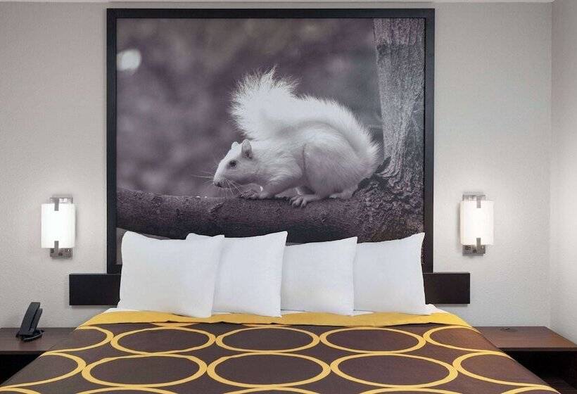 Quarto Estandar para Deficientes Físicos, Super 8 By Wyndham Olney