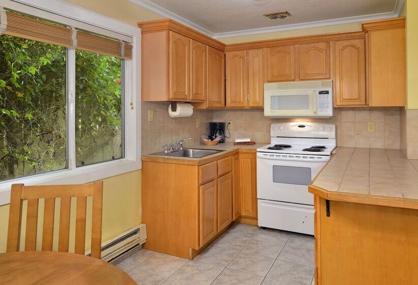 غرفة قياسية, Surf Motel And Gardens