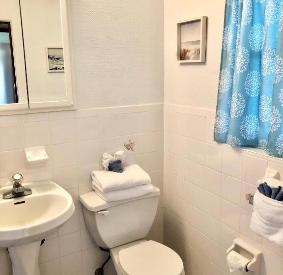 Basic-huone, Surf Studio Beach Resort