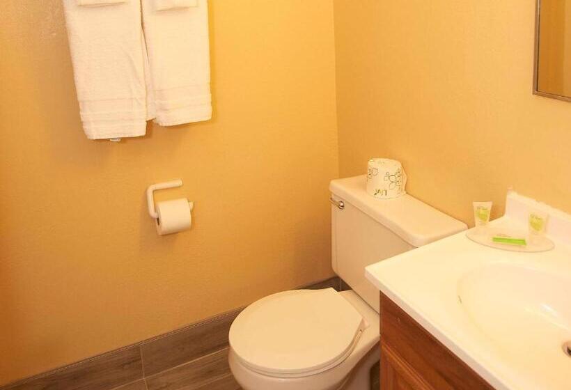 غرفة قياسية سرير كينج, Swiss Chalets Village Inn