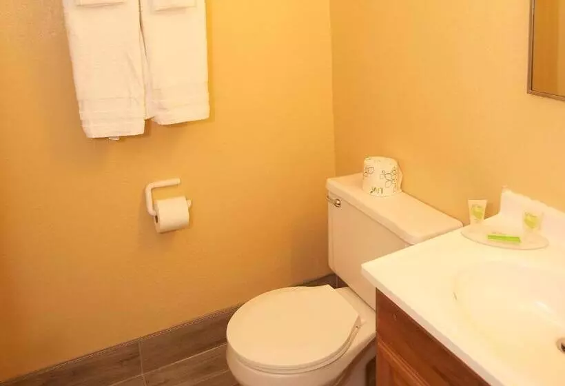 キングサイズベッドのスタンダードルーム, Swiss Chalets Village Inn