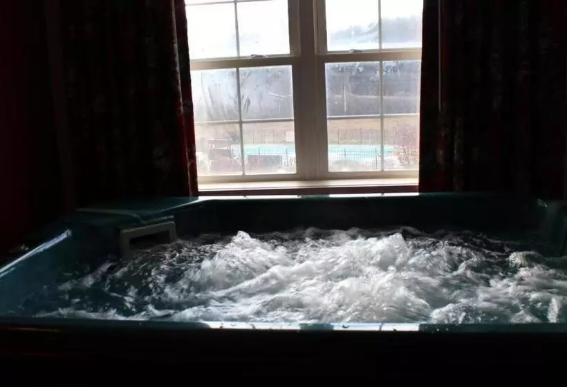 キングサイズベッドのスイートルーム, Swiss Chalets Village Inn