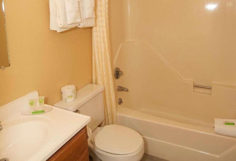 غرفة قياسية مزوَّدة بمطبخ, Swiss Chalets Village Inn