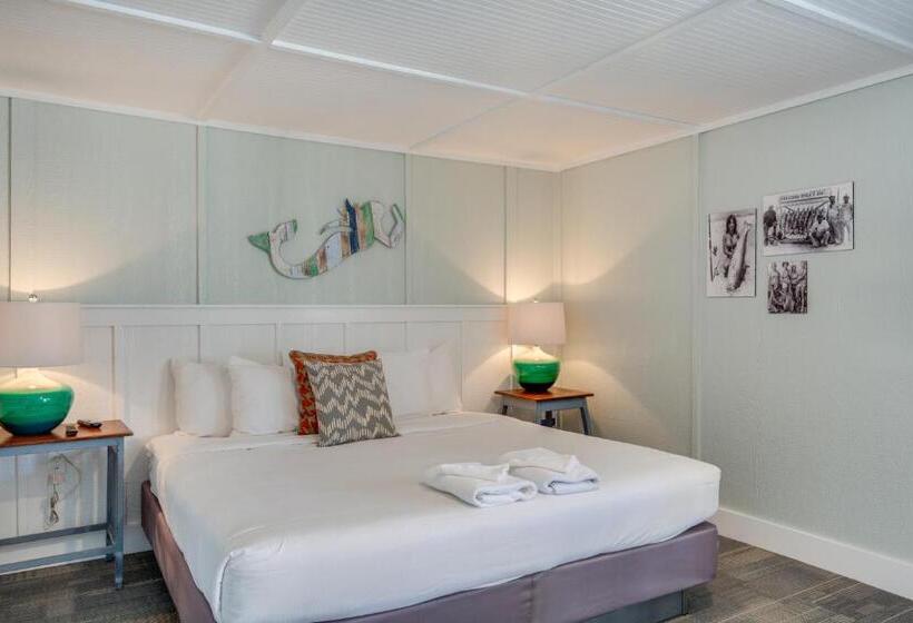 غرفة قياسية سرير كينج, Tar Heel Motel