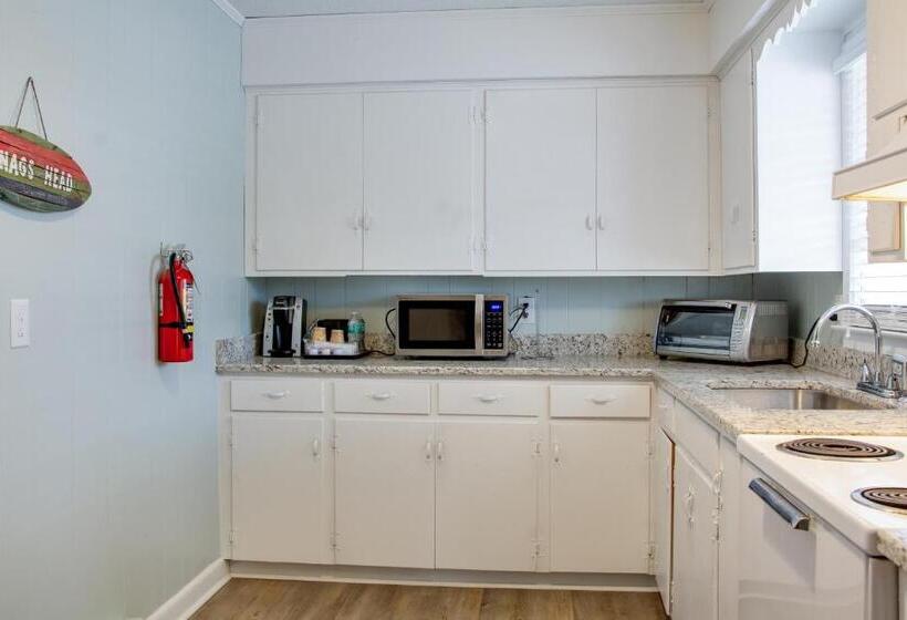 شقة غرفة واحدة, Tar Heel Motel