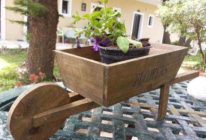 스탠다드 스튜디오, Gongis Studios