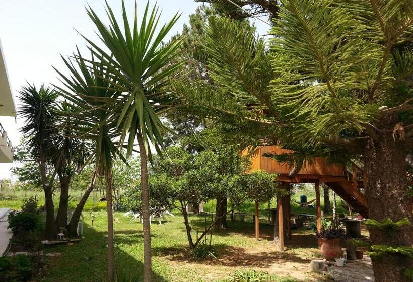 스탠다드 스튜디오, Gongis Studios