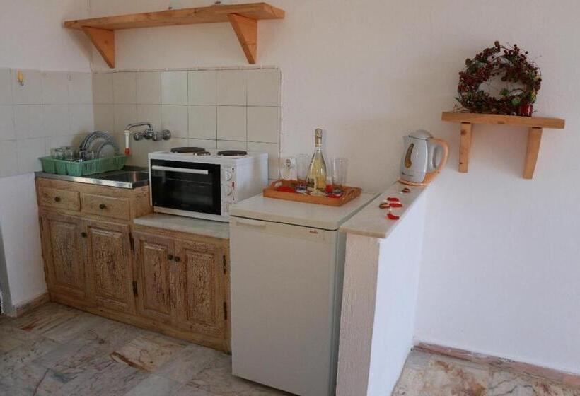 스탠다드 스튜디오, Gongis Studios