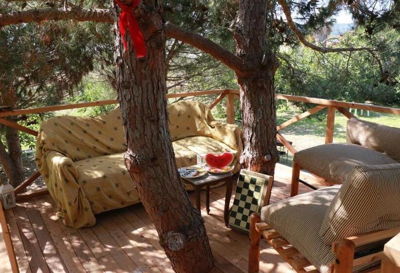 스탠다드 스튜디오, Gongis Studios