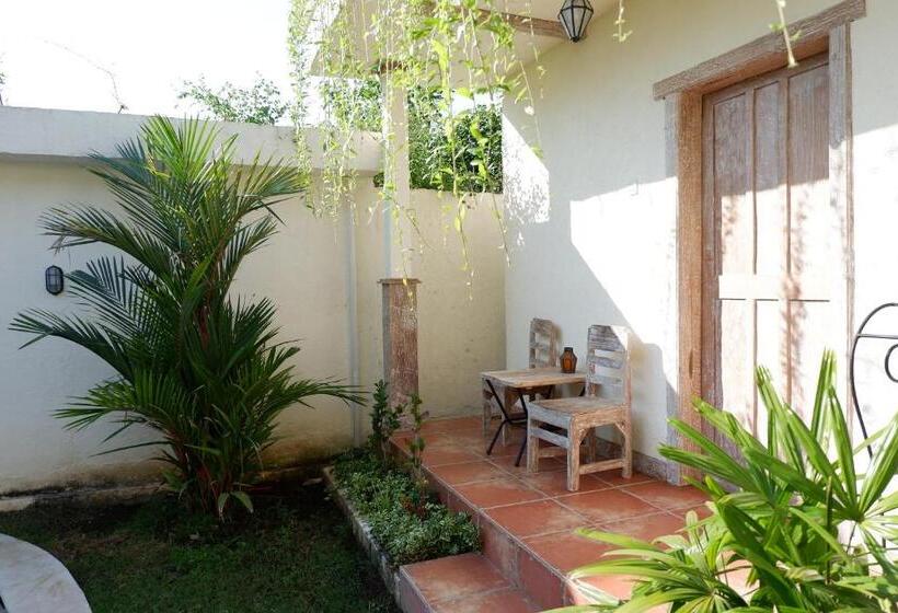 חדר סופריור, Mango 5