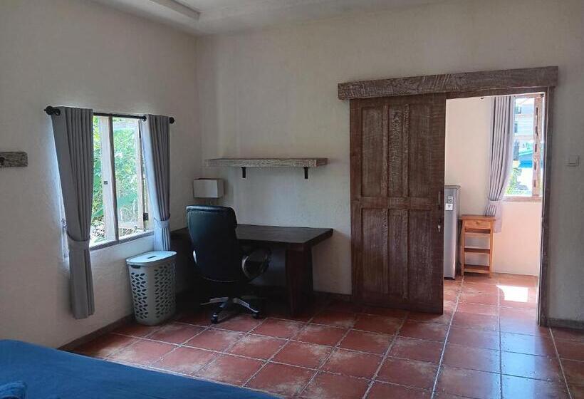 דירה בת חדר שינה 1 עם נוף, Mango 5