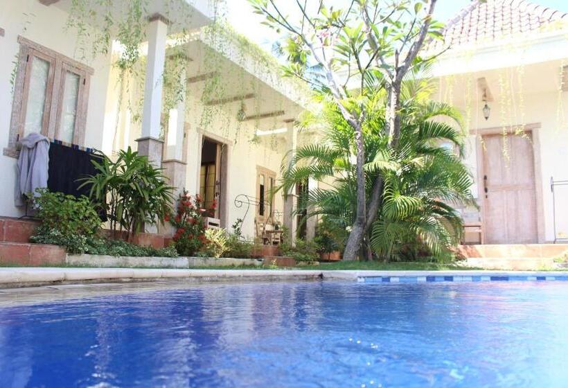 חדר סופריור, Mango 5