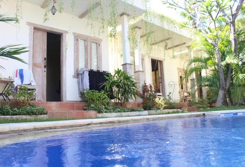 חדר סופריור, Mango 5