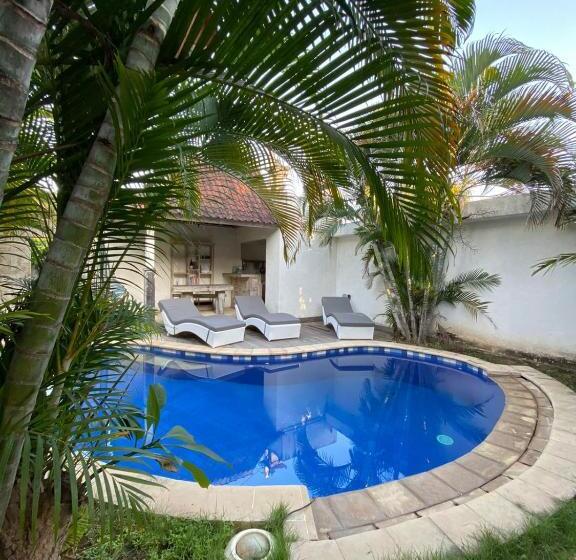 חדר סופריור, Mango 5