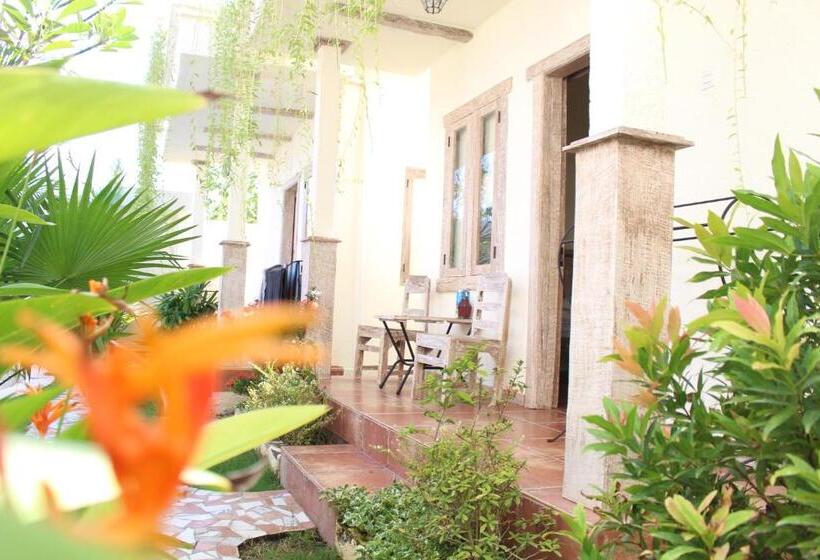 חדר דלוקס, Mango 5