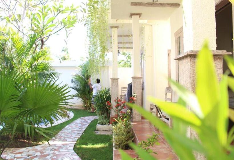 חדר דלוקס, Mango 5