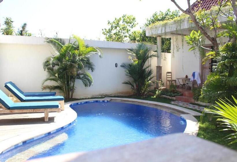 חדר דלוקס, Mango 5