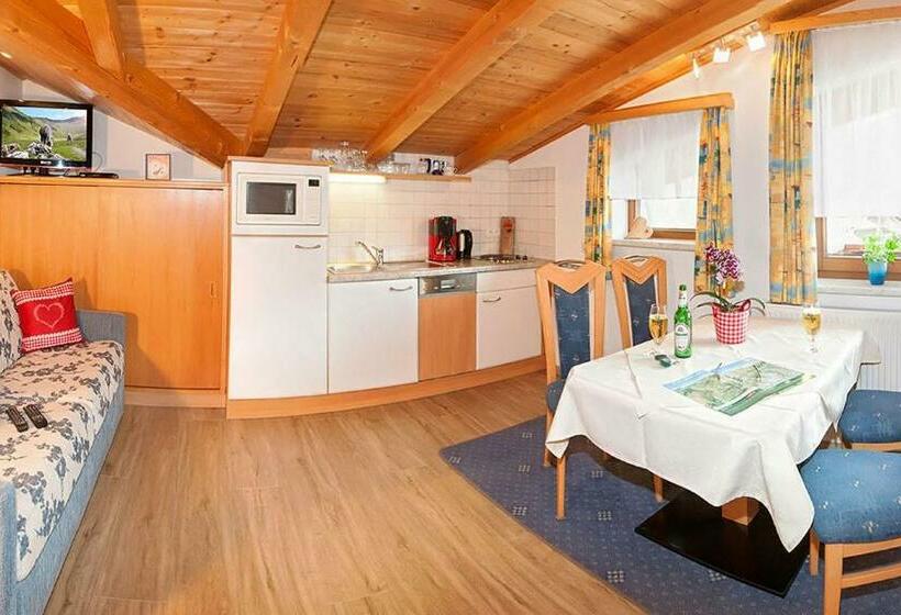 Апартаменты 1 Спальня с Балконом, Apart Alpensonne Zillertal