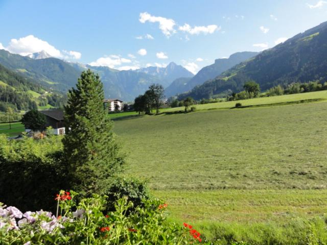 Апартаменты 1 Спальня с Видом, Apart Alpensonne Zillertal