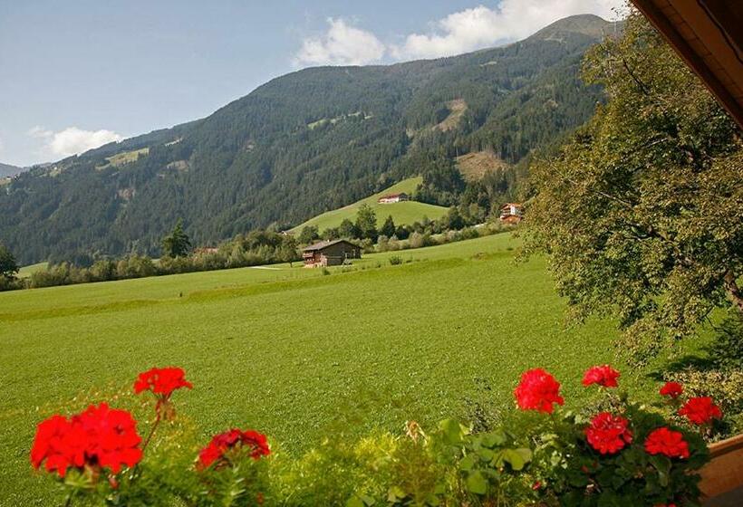 景色の見える一ベッドルームアパートメント, Apart Alpensonne Zillertal