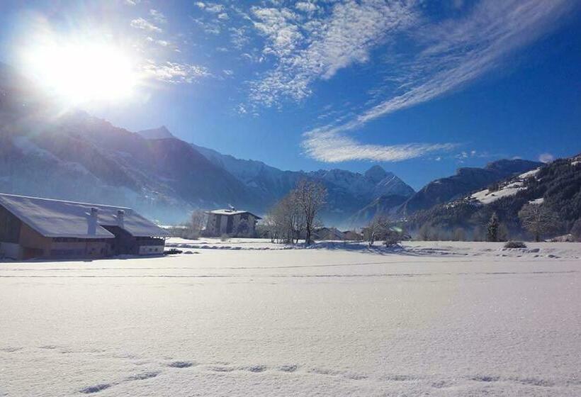 Апартаменты 1 Спальня с Видом, Apart Alpensonne Zillertal