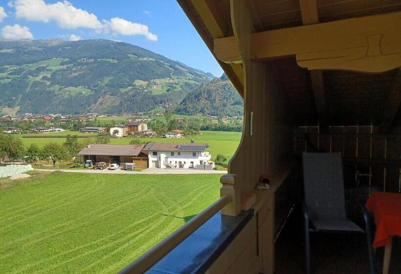 Апартаменты 1 Спальня с Видом, Apart Alpensonne Zillertal