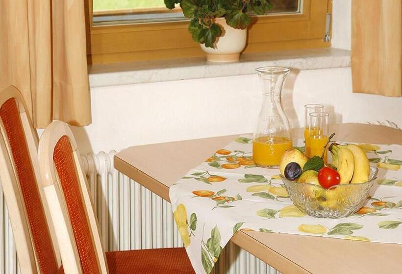 景色の見える一ベッドルームアパートメント, Apart Alpensonne Zillertal