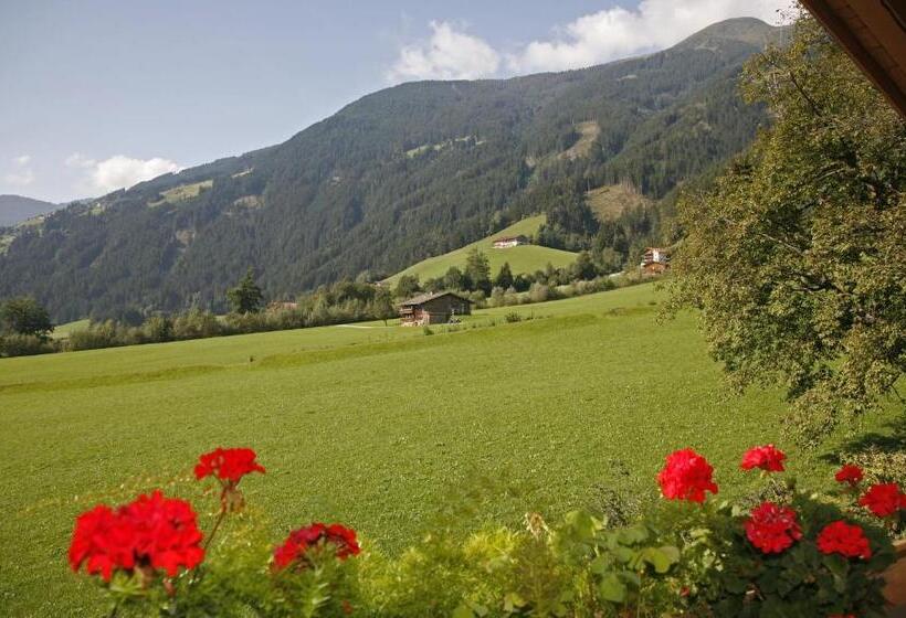 景色の見える一ベッドルームアパートメント, Apart Alpensonne Zillertal
