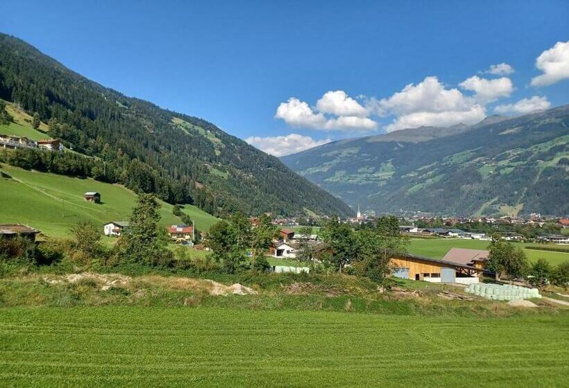 Апартаменты 1 Спальня с Видом, Apart Alpensonne Zillertal
