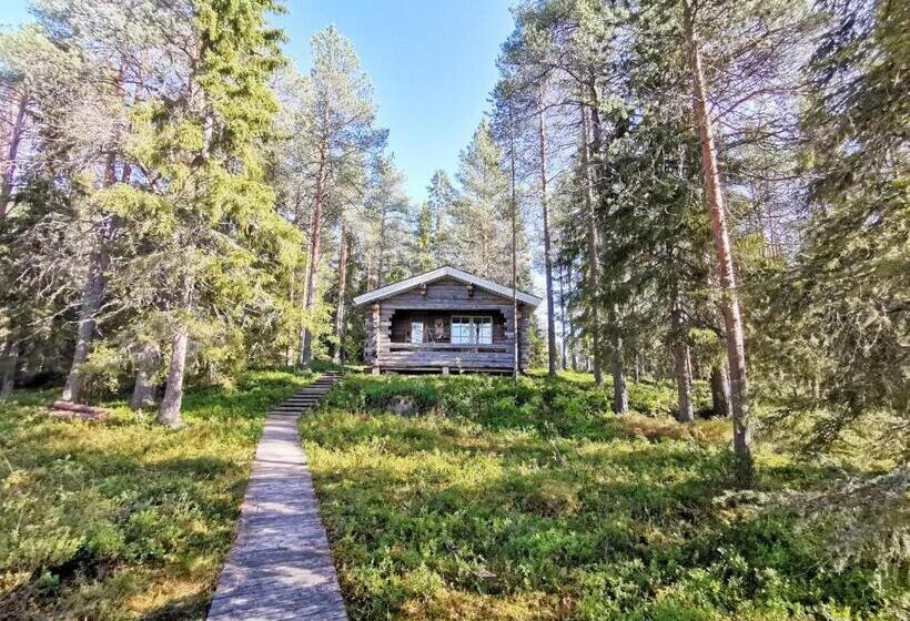 오두막, Taiga School