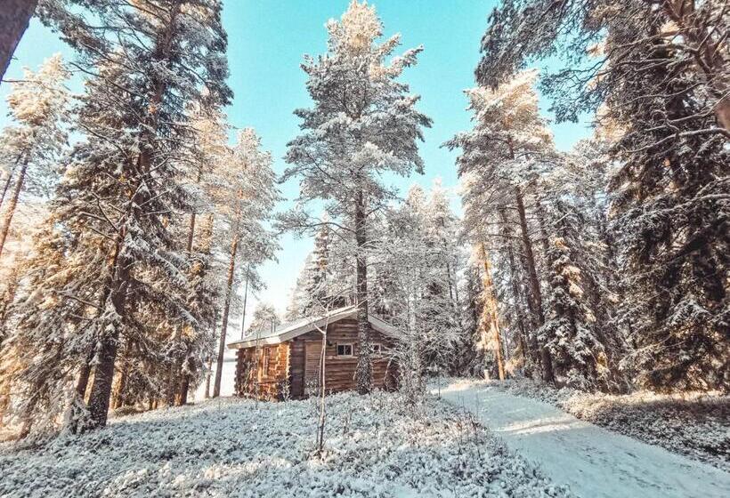 오두막, Taiga School