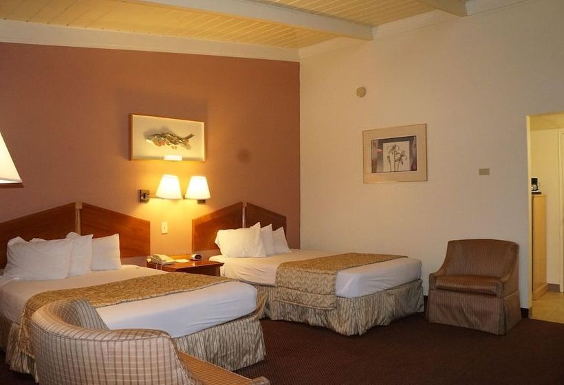 Номер Стандарт 2 Двуспальные Кровати, Americas Best Value Inn & Suites Oroville