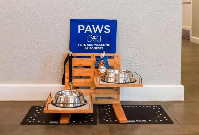 标准工作室, Sonesta Simply Suites Falls Church