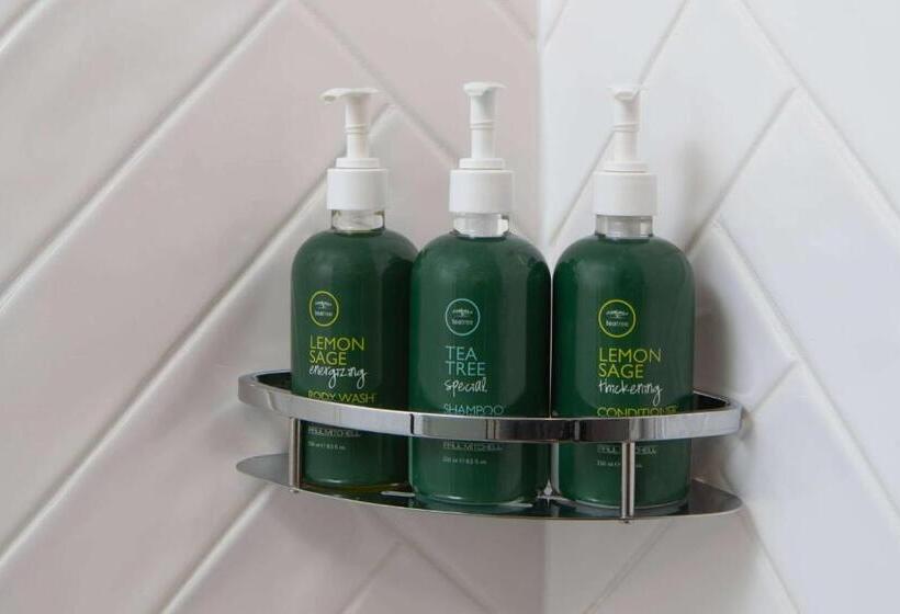 套房, Sonesta Simply Suites Falls Church