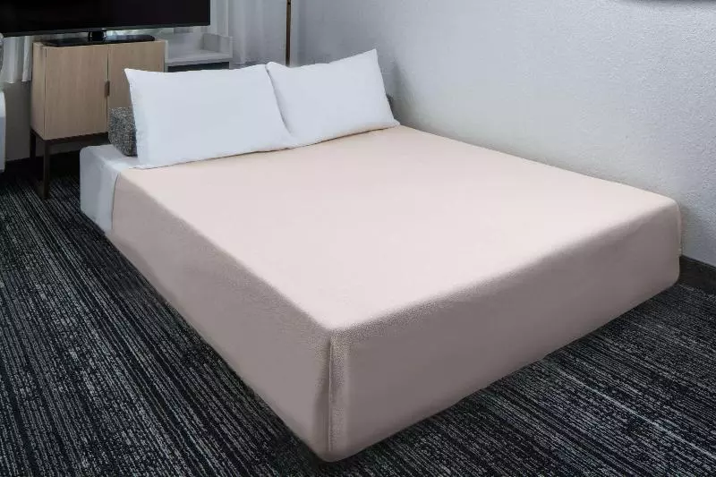 身障者適用スイートルーム, Sonesta Simply Suites Falls Church
