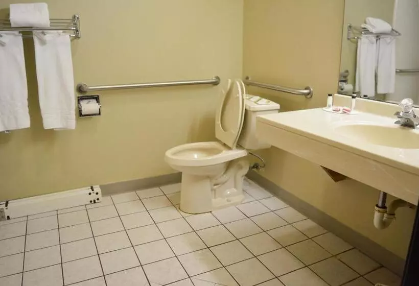 身障者適用スタンダードルーム, Travelodge By Wyndham St. Louis