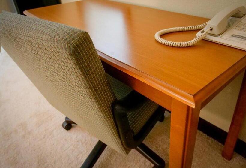 חדר דלוקס עם מיטת קינג, Travelodge By Wyndham St. Louis