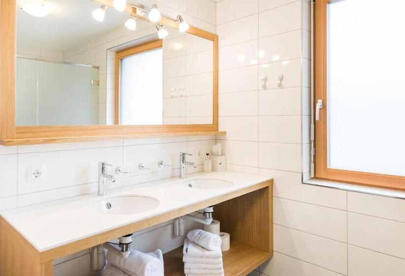 Апартаменты 1 Спальня с Балконом, Damüls Appartements