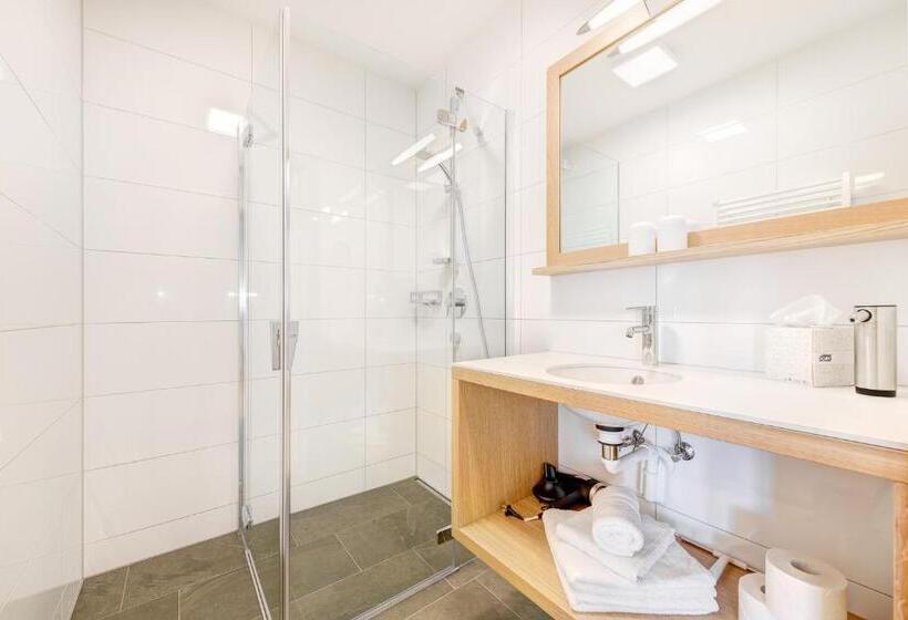 침실 1개 전망 아파트, Damüls Appartements