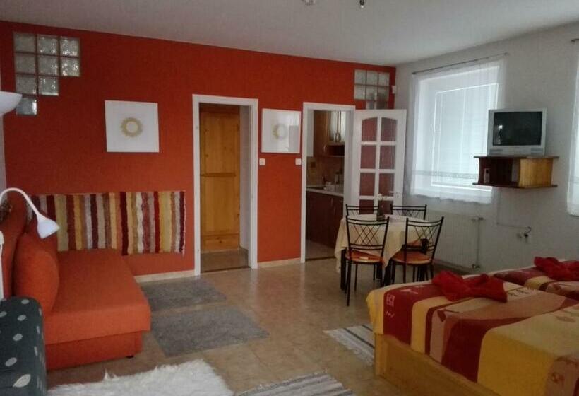 חדר סטודיו סטנדרד, Ottó Panzió Villány