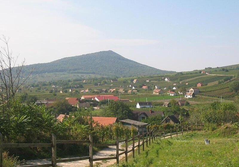 חדר סטודיו סטנדרד, Ottó Panzió Villány