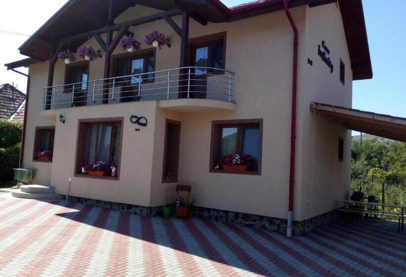 ‫فيلا غرفة نوم واحدة, Casa Infinity