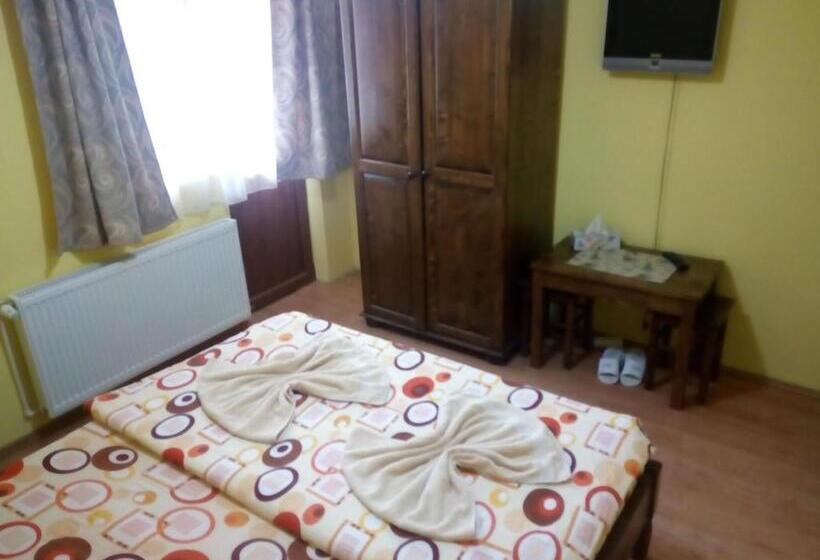 ‫فيلا غرفة نوم واحدة, Casa Infinity