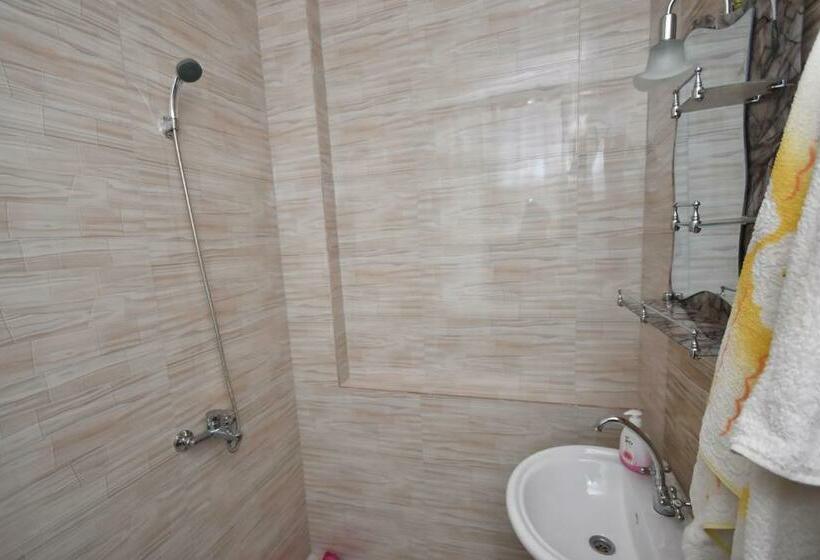 اتاق استاندارد, Shorena's House