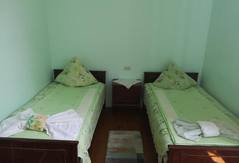 اتاق استاندارد, Shorena's House