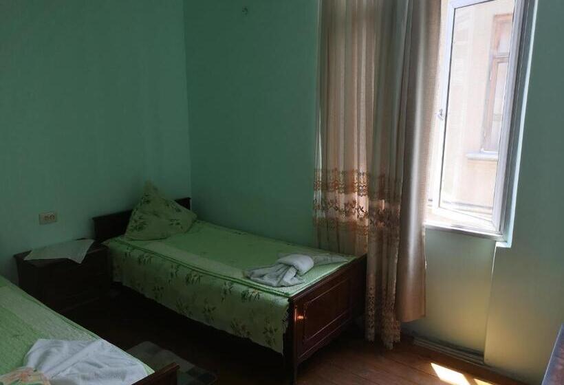 اتاق استاندارد, Shorena's House