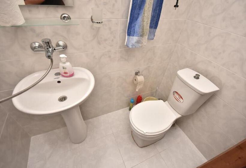 اتاق استاندارد, Shorena's House