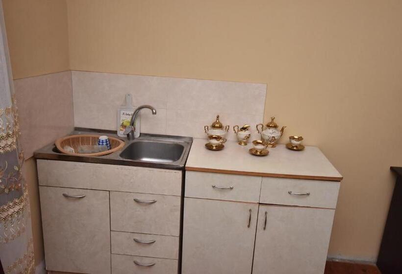 اتاق استاندارد سه نفره, Shorena's House