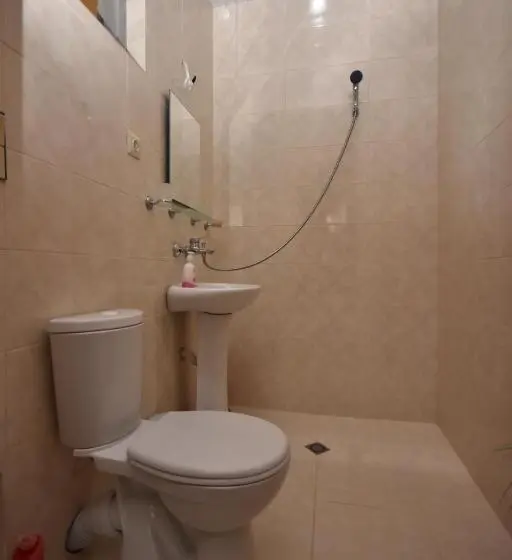 اتاق استاندارد سه نفره, Shorena's House